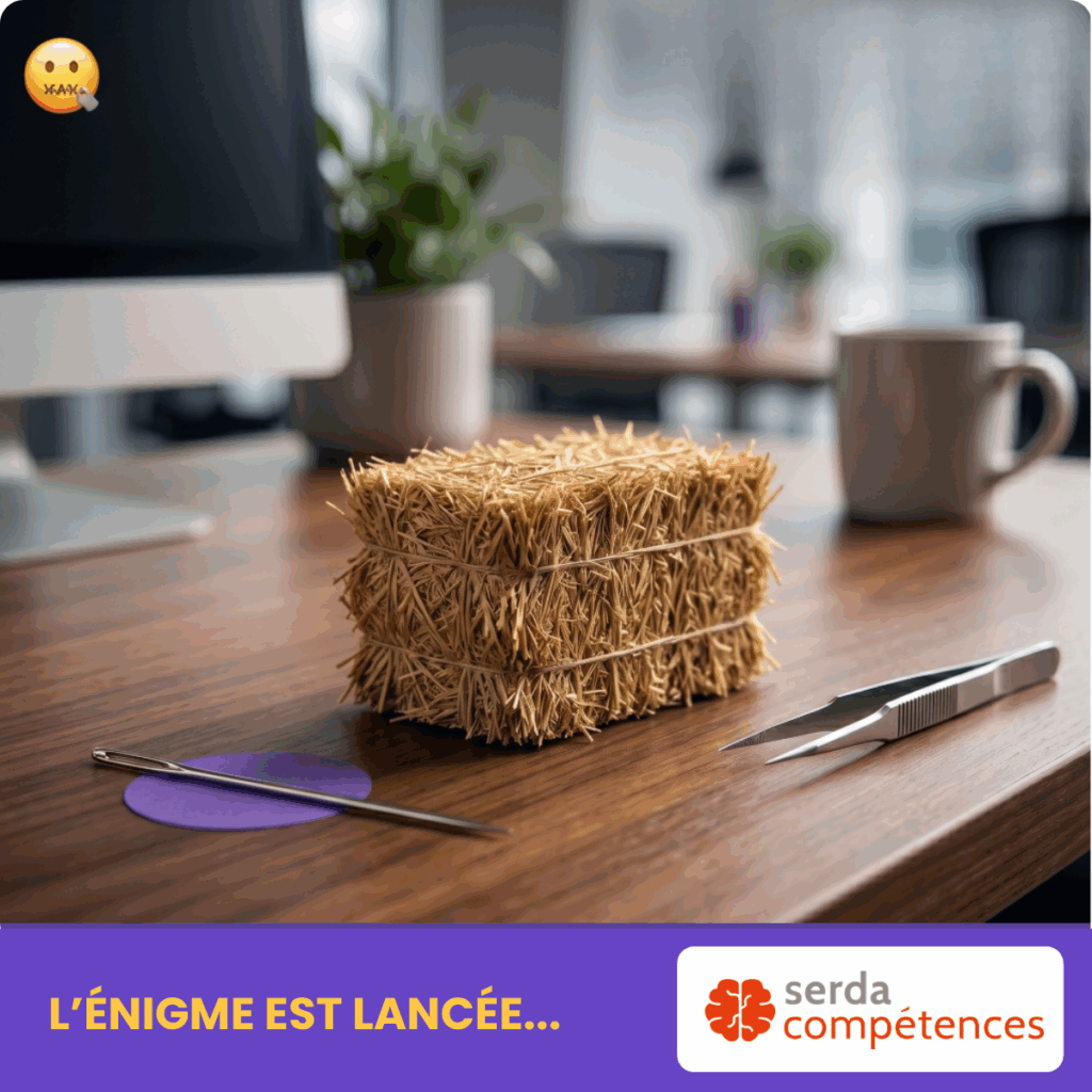 Serda Competences 2026 l énigme est lancée