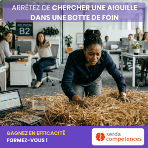 SERDA COMPETENCES 2026 Chercher une aiguille dans une botte de foins